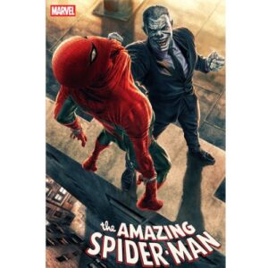 Spectacular Spider-Man: Brand New Day Vol.3 (di 3) Variant di Lee Bermejo 24 di 25