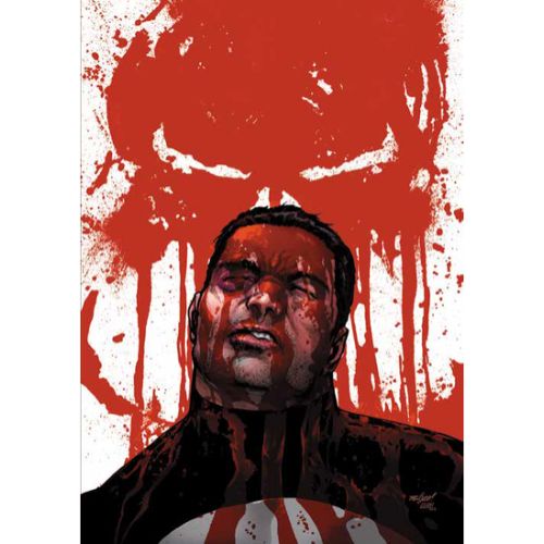 Punisher Vol.4