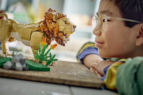 LEGO Creator 3 in 1 - Animali selvatici: Leone Maestoso 31386 Giocattolo, Trasformabile in Leonessa o in 2 Cuccioli, Regalo da 9+ - immagine 4